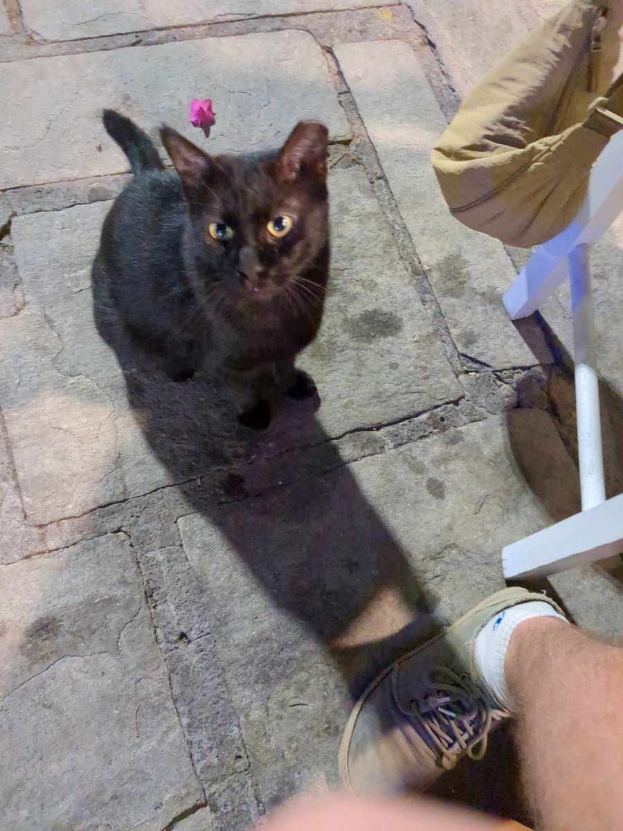 Mathieu Fontaine tweet media