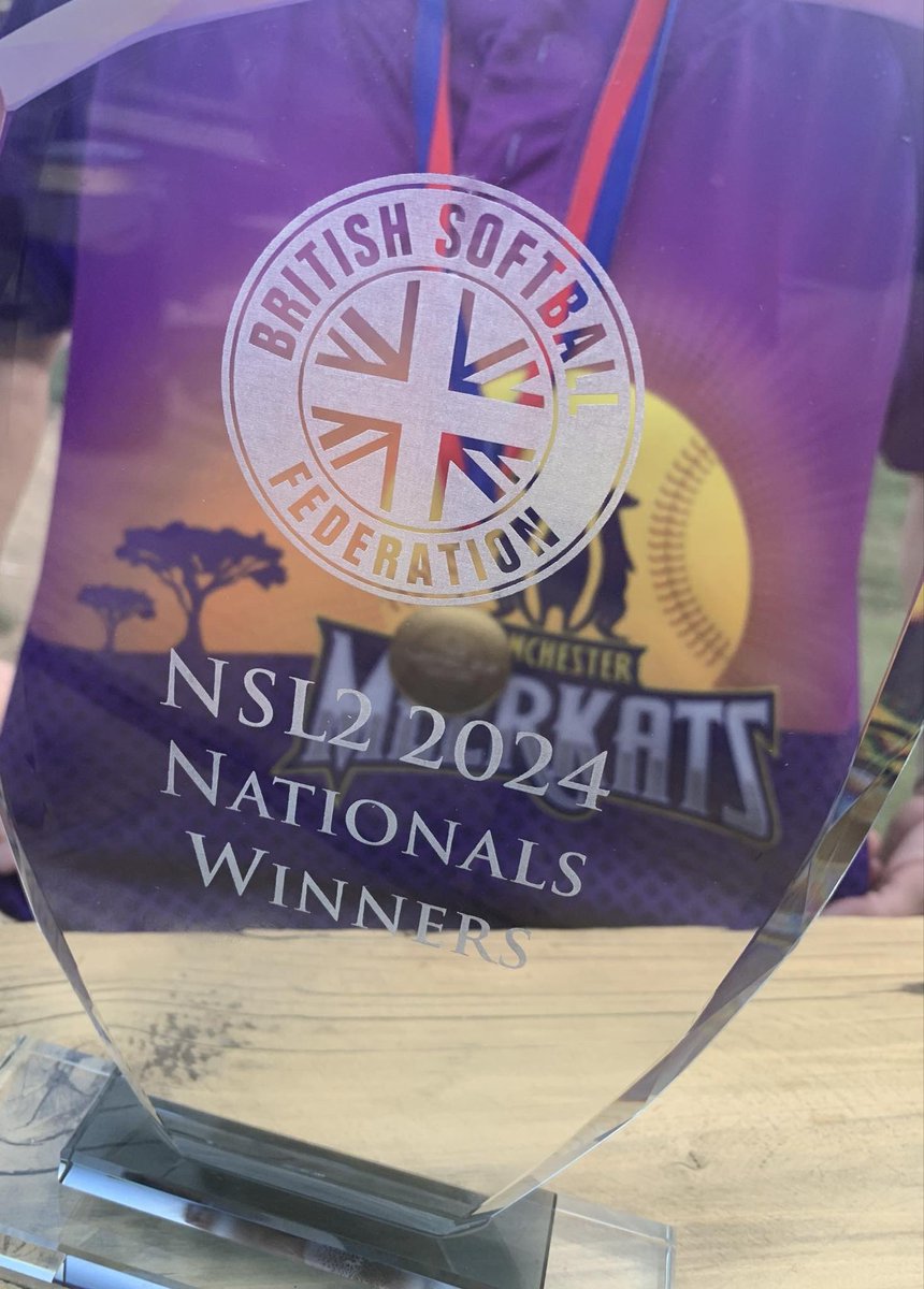 Manchester Softball tweet media