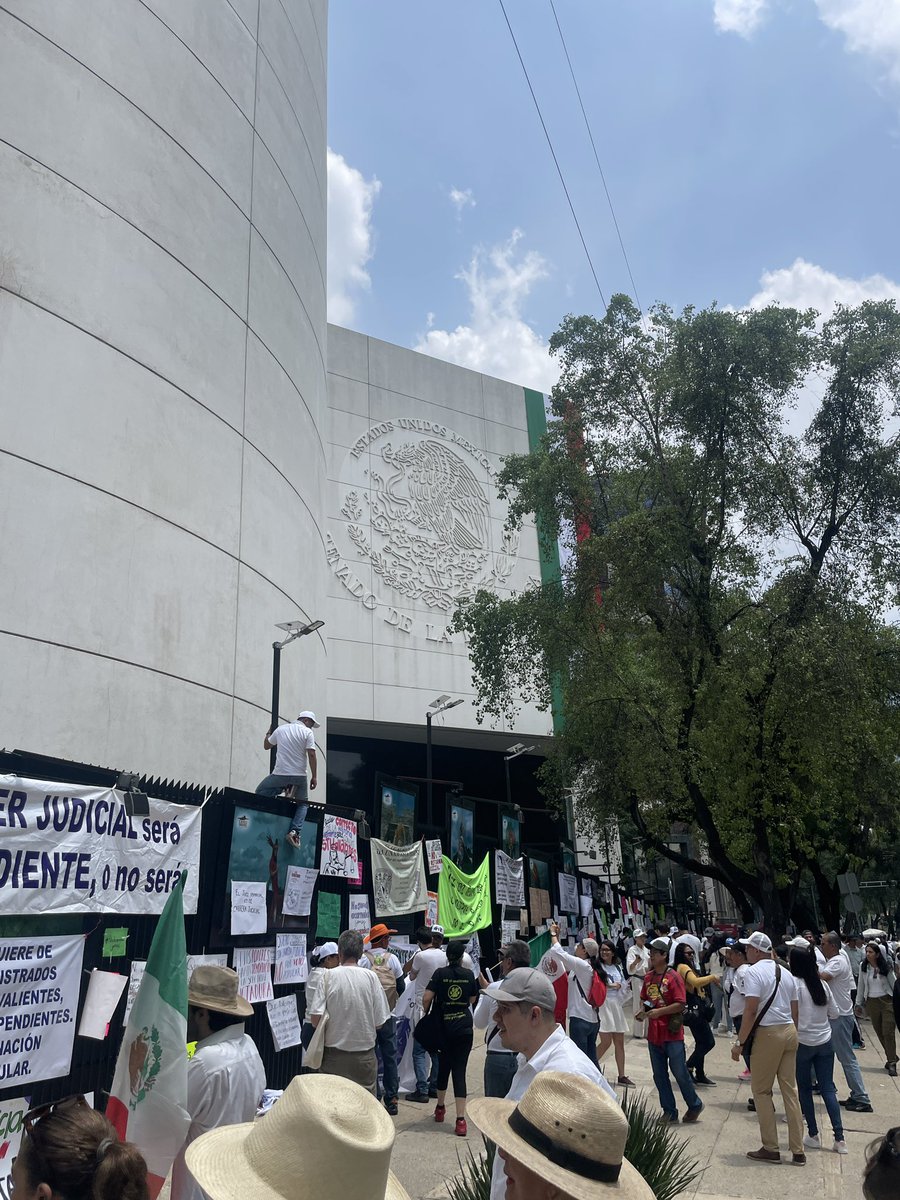 MichFano's tweet image. #poderjudicial