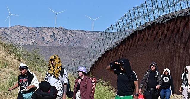 Democrats Say Illegal Migrants Included in 'All Americans' breitbart.com/politics/2024/…