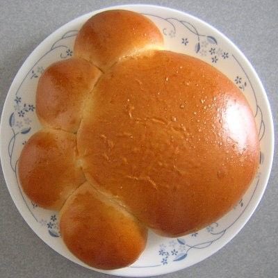 “I wonder if this would be good…” 

#𝑩𝑬𝑨𝑪𝑯𝑷𝑰𝑬𝑪𝑬 🏖
#𝓒𝙰𝙺𝙴𝓟𝙸𝙴𝙲𝙴 🍰