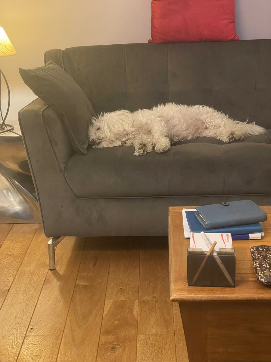 temps_modernes's tweet photo. @TF1 vous nous embêtez vraiment avec les horaires des films ! Il est 21h18 et les ch’tis n’ont pas encore commencé !! Ça veut dire que les français qui regardent ne seront pas couchés avant minuit ! Faites un effort ! Autrefois ça commençait à 20h30… https://t.co/gtCe04JwOw
