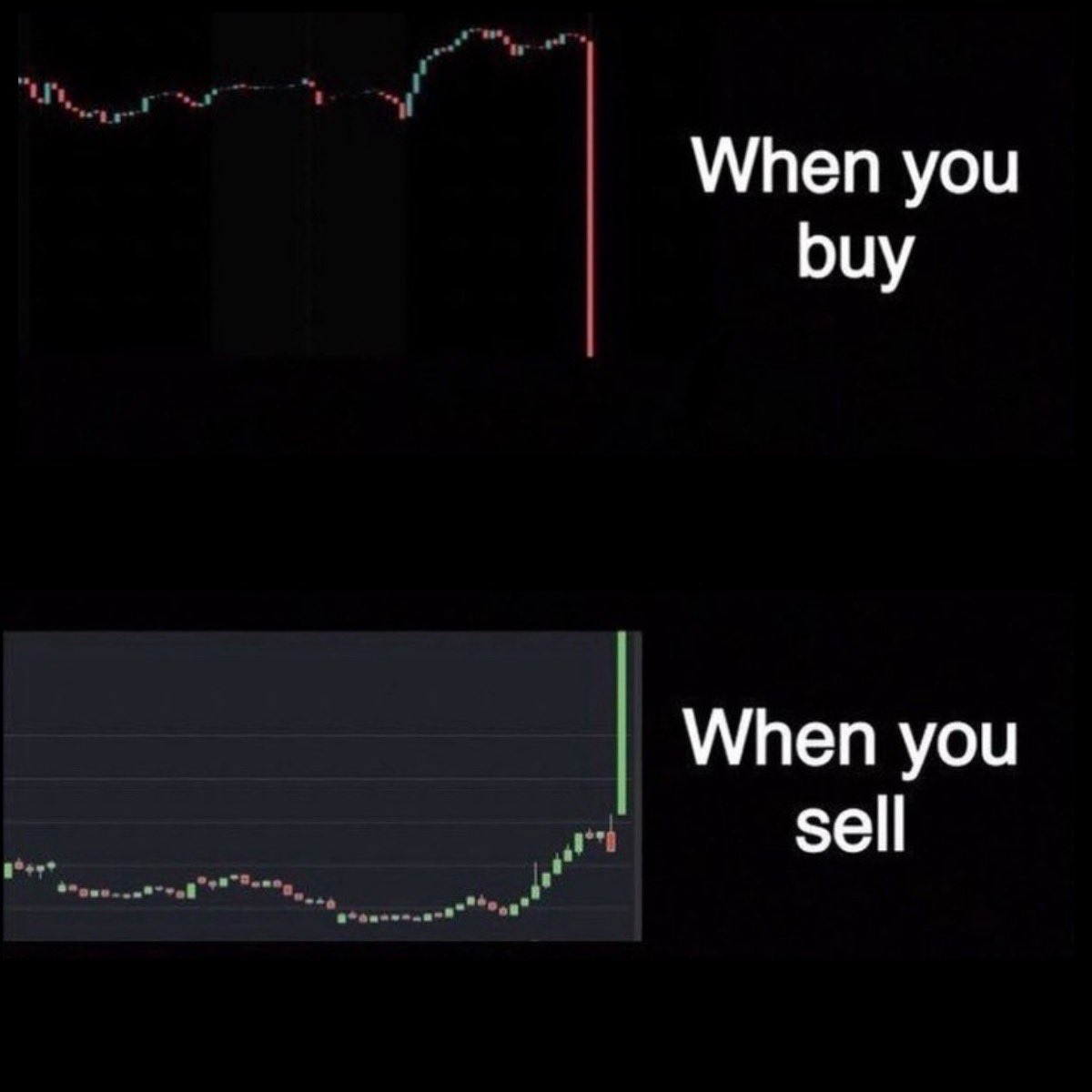 Minister 🔮 tweet media