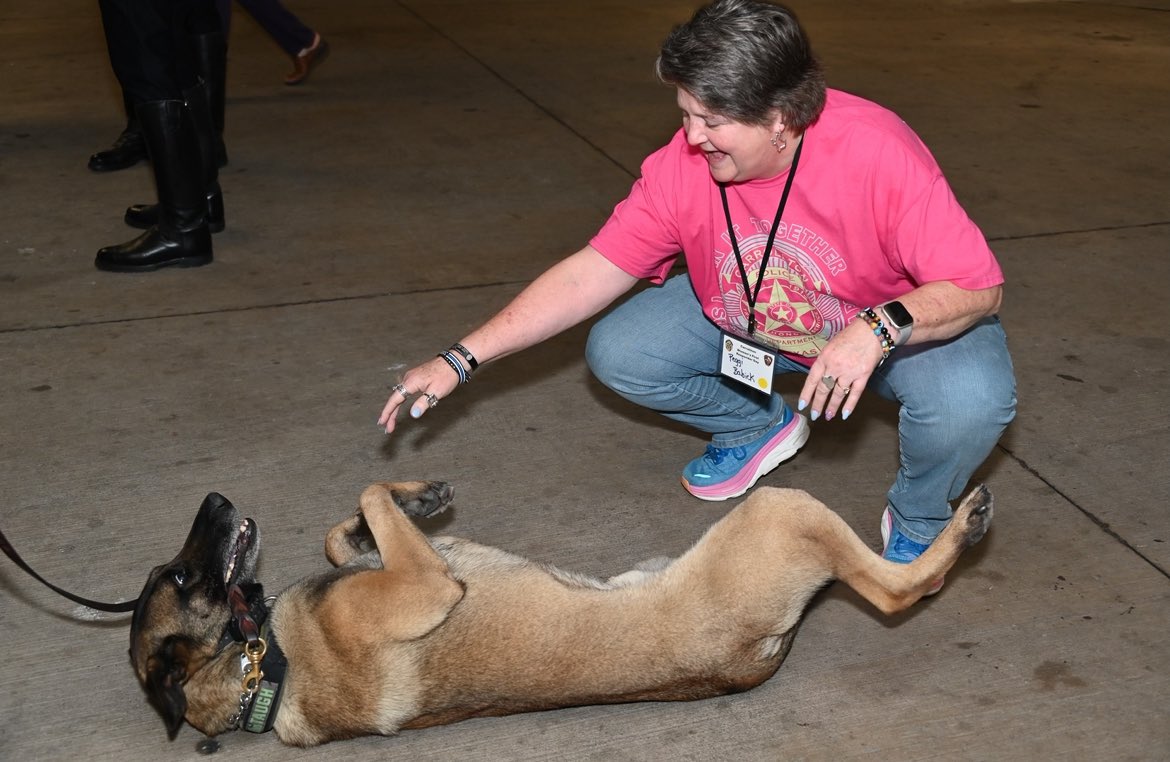 CarrolltonTXPD's tweet image. Please help us celebrate our furriest officers today, Murtaugh and Riggs, as September 1st is National Police K9 Day! 

These loyal K9s aren’t just dogs—they’re brave partners, protectors, and beloved members of our police family.

#PoliceK9Day #CarrolltonTX #CarrolltonTXPD #Dogs