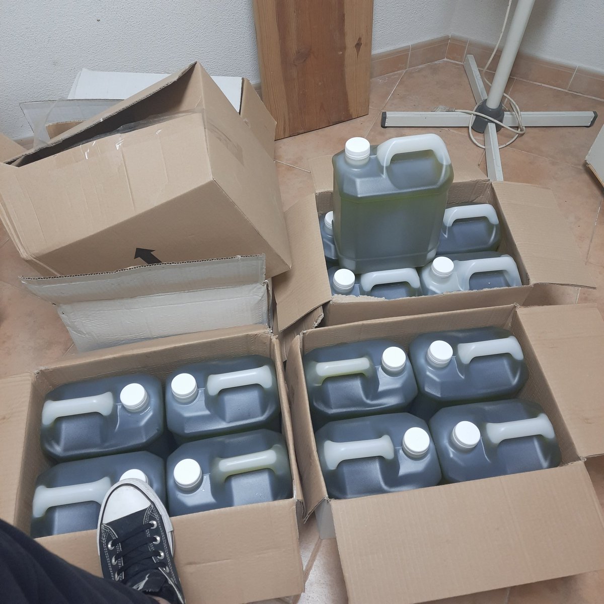 Estou rico 

(a família de Trás-os-Montes ofereceu-me azeite)