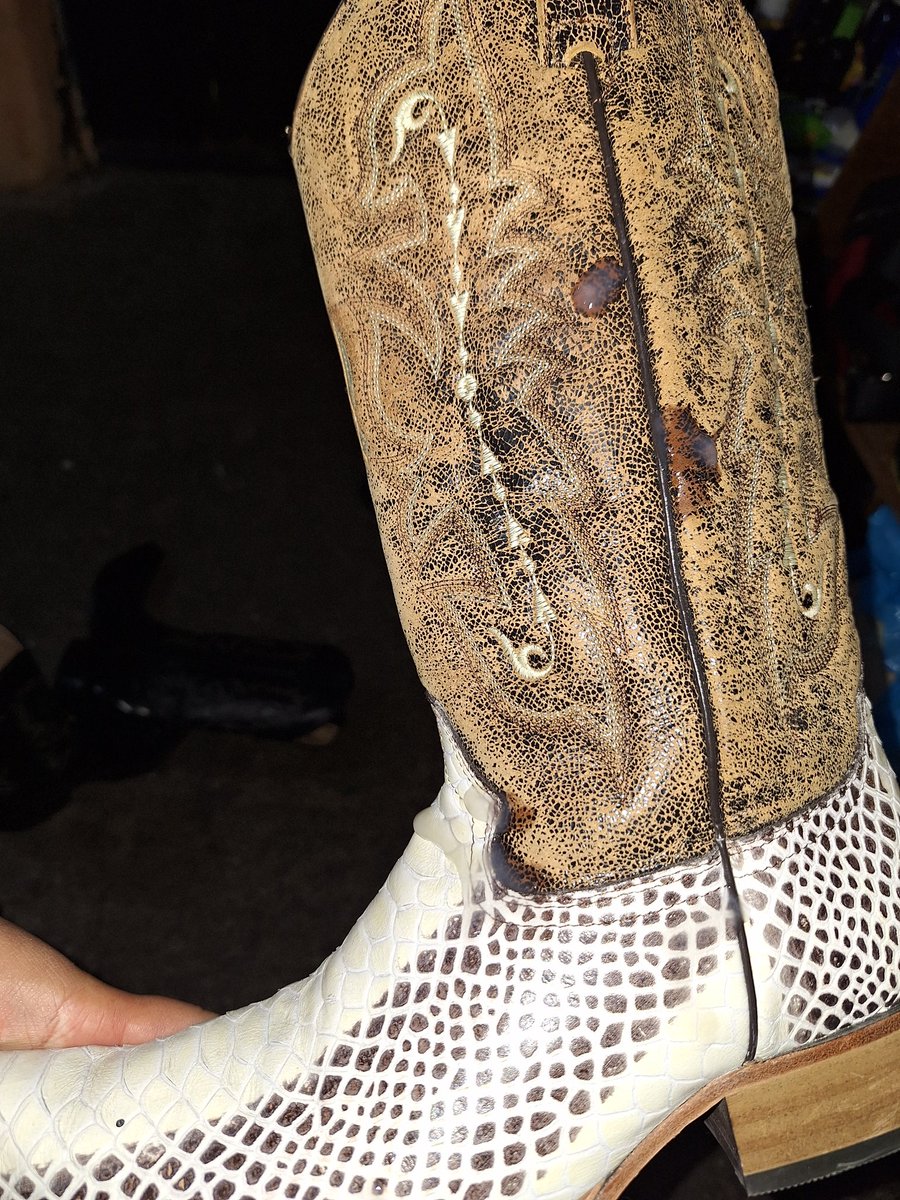 Me vine rico en la bota
¿Alguien la limpia? 😈