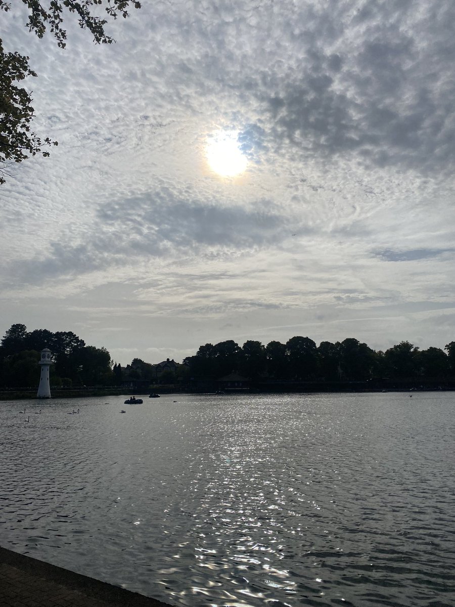 Emma Martinez 🏴🇪🇸 tweet media