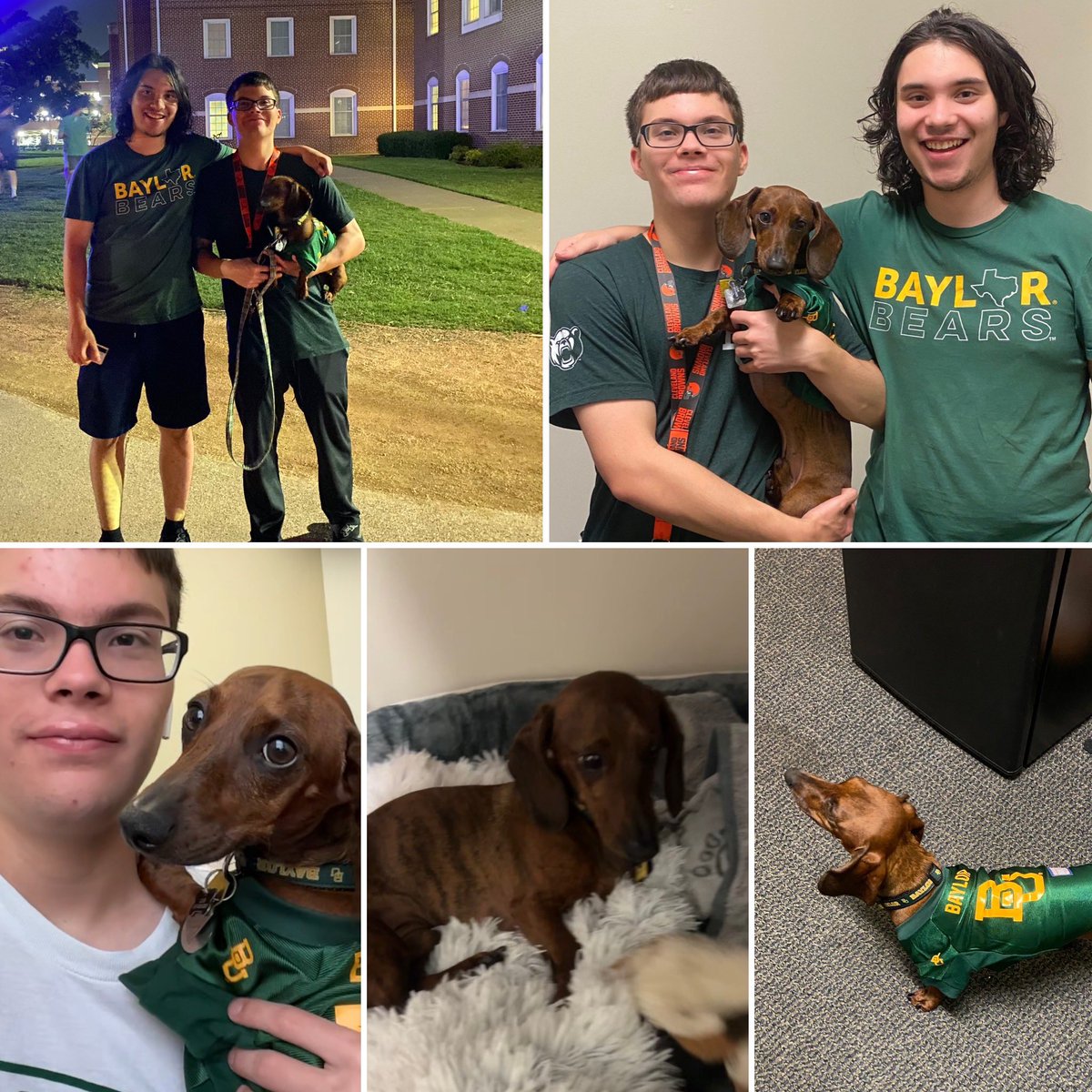 M Gehman tweet media