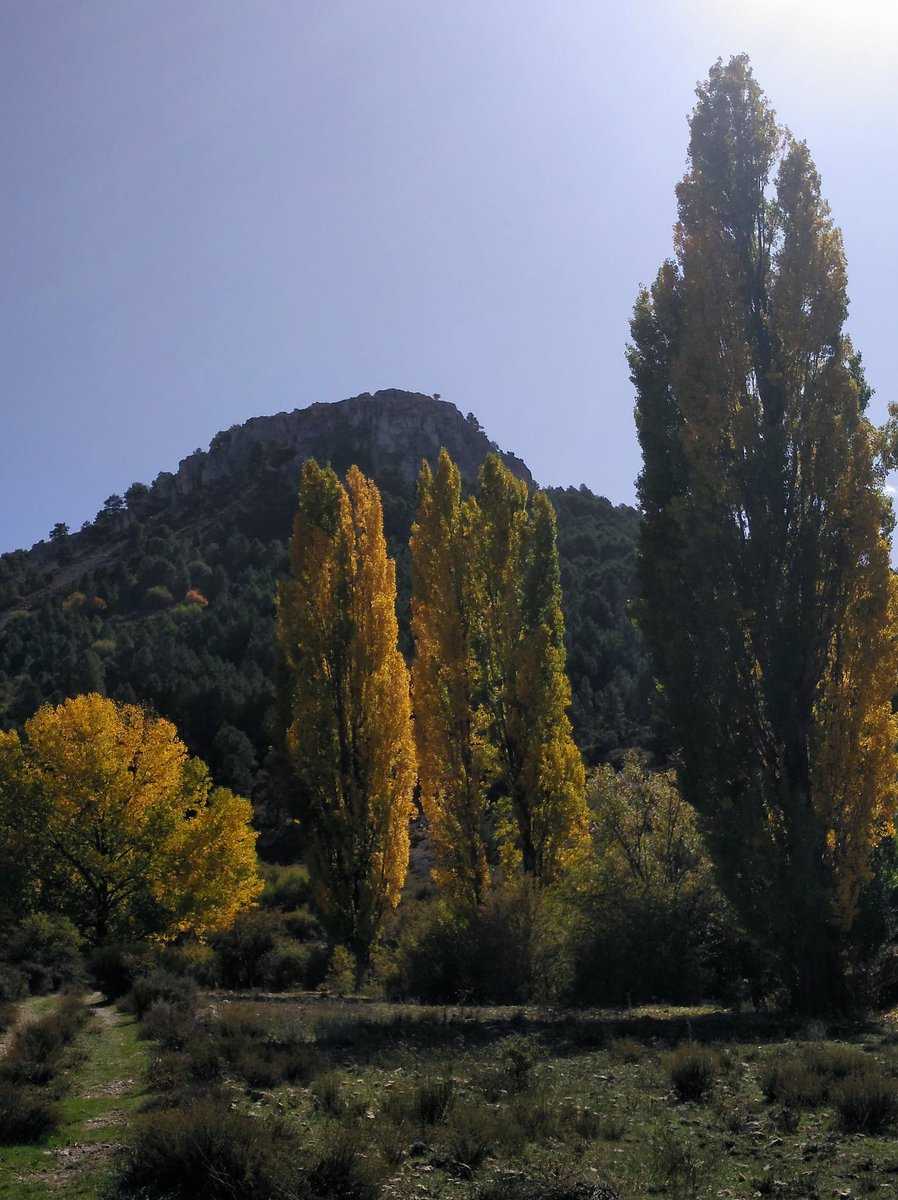 La_Carrasca's tweet image. 🔶 ¡Estamos de vuelta!.
‼️ Como adelanto y para poder organizar una de las actividades, os dejamos el enlace a la información del viaje de fin de semana previsto para final de octubre a la sierra de Segura.
🔗 lacarrascaorg.wordpress.com/2024/09/01/fin…