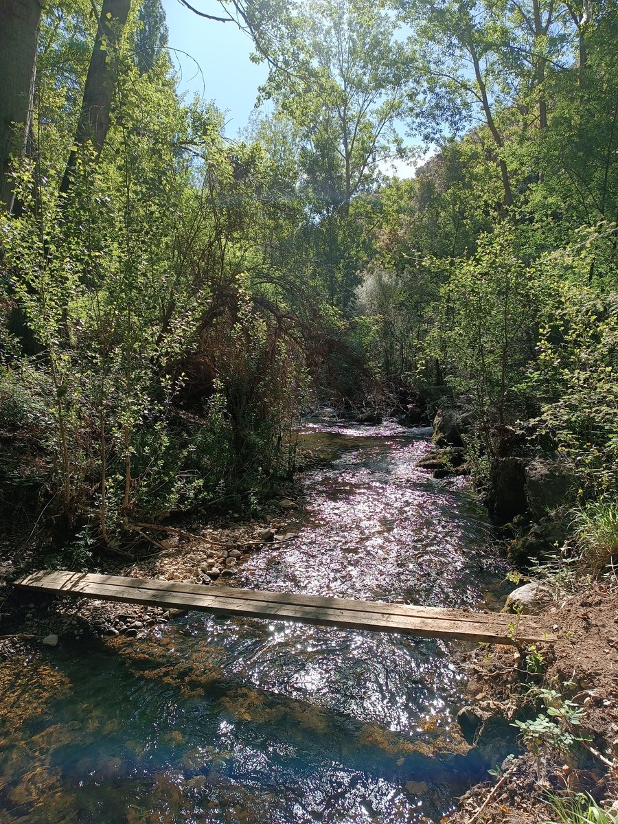 La_Carrasca's tweet image. 🔶 ¡Estamos de vuelta!.
‼️ Como adelanto y para poder organizar una de las actividades, os dejamos el enlace a la información del viaje de fin de semana previsto para final de octubre a la sierra de Segura.
🔗 lacarrascaorg.wordpress.com/2024/09/01/fin…