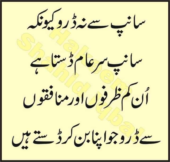 gm_kbr's tweet photo. ضمیر اور وفاداری بیچنے کے بعد بھی گارنٹی دینی پڑے تو سمجھ جائیں--------++!

وہ جو سائے میں ہر مصلحت کے پلے 
👇👇👇👇👇 https://t.co/wuSj7S1d0l