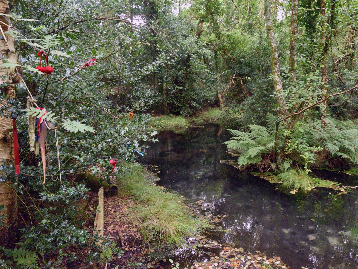 What an adventure today where we visited theses Holy Wells in the most obscure area around Lisvernane, Dromin and Ballylanders. <a href="/Holywells/">Holywells</a> <a href="/irishtourist/">IrishTourist.com</a> <a href="/IrishTourismCht/">IrishTourismChat</a> <a href="/TheBostonIrish/">Irish Boston</a>