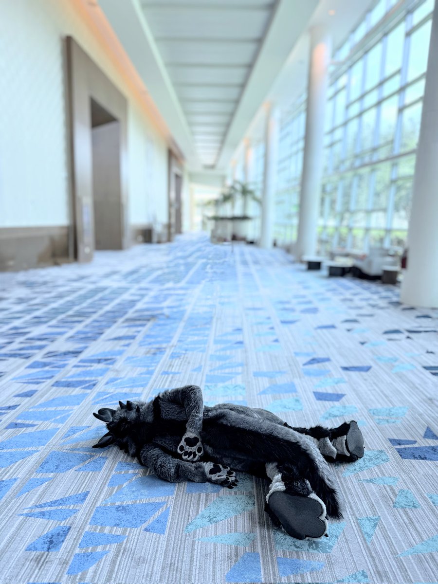 PhilcoPredicta's tweet photo. #Megaplex2024 https://t.co/DnUBQvy0NK