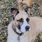 Photo by TXPatriot7 (@Godscountry77)