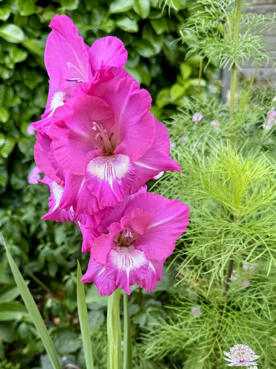 Who else is loving the gradual change in season?