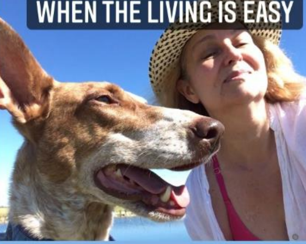 Taking photos is my new hobby. I took this end of summer pic yesterday.