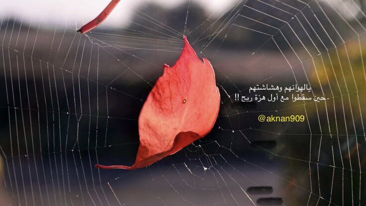 ✍🏻

إلى أولئك #المتسلقين 
على أكتاف المشاعر والخواطر 
كونوا صادقين ولا تُلبسوا #أعذاركم 
ثيابًا من #المجاملات ليست على مقاسها 
#فتتعثر عند أول خطـوةٍ على دروب #المواقف . 

<a href="/aknan909/">أكنـان</a>
