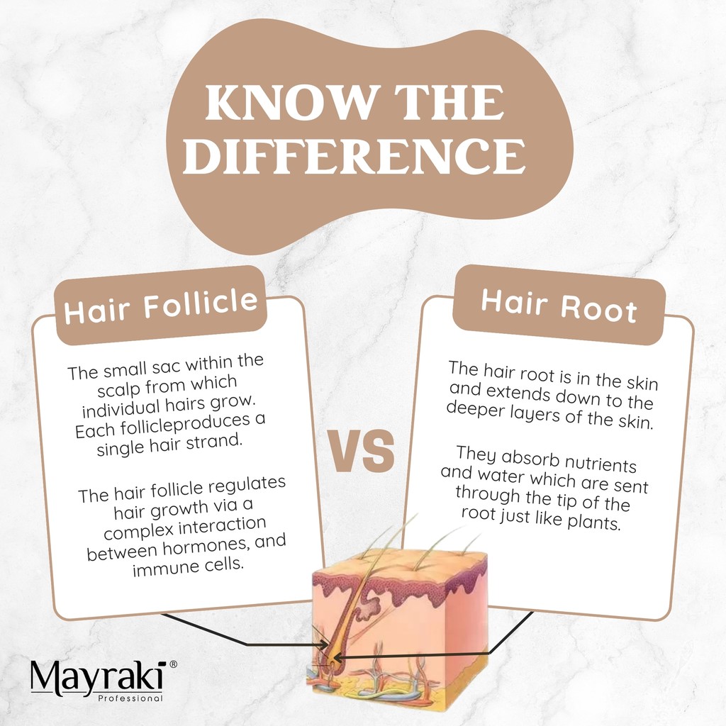 Mayraki4's tweet image. ✨Understanding the difference helps in nurturing healthier, stronger hair from the inside out.

LINK IN BIO! 💖🌿

#smoothingtreatment #keratinbonds #styledhair #selflovemovement #hairofig #hairgrowthoils #moisturizing #dye #blowoutstyles #beachwaveshair #motivation