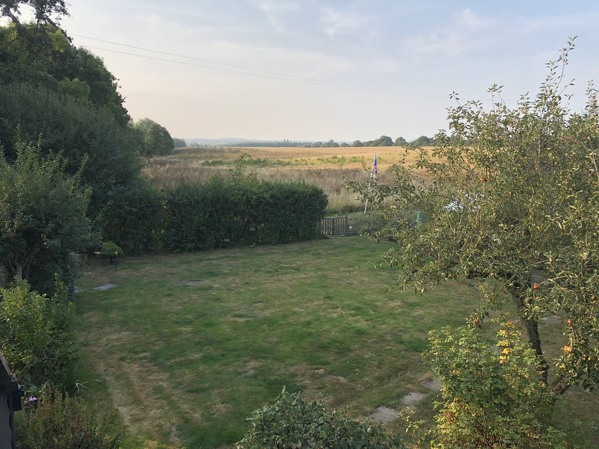 Chappers2013's tweet photo. Lots to do in the garden today. All supervised by #littlelegs and @PBaloo 🥰
#rpdrex remained on guard duty at the front hedge 😊 https://t.co/0C0oRrEESo