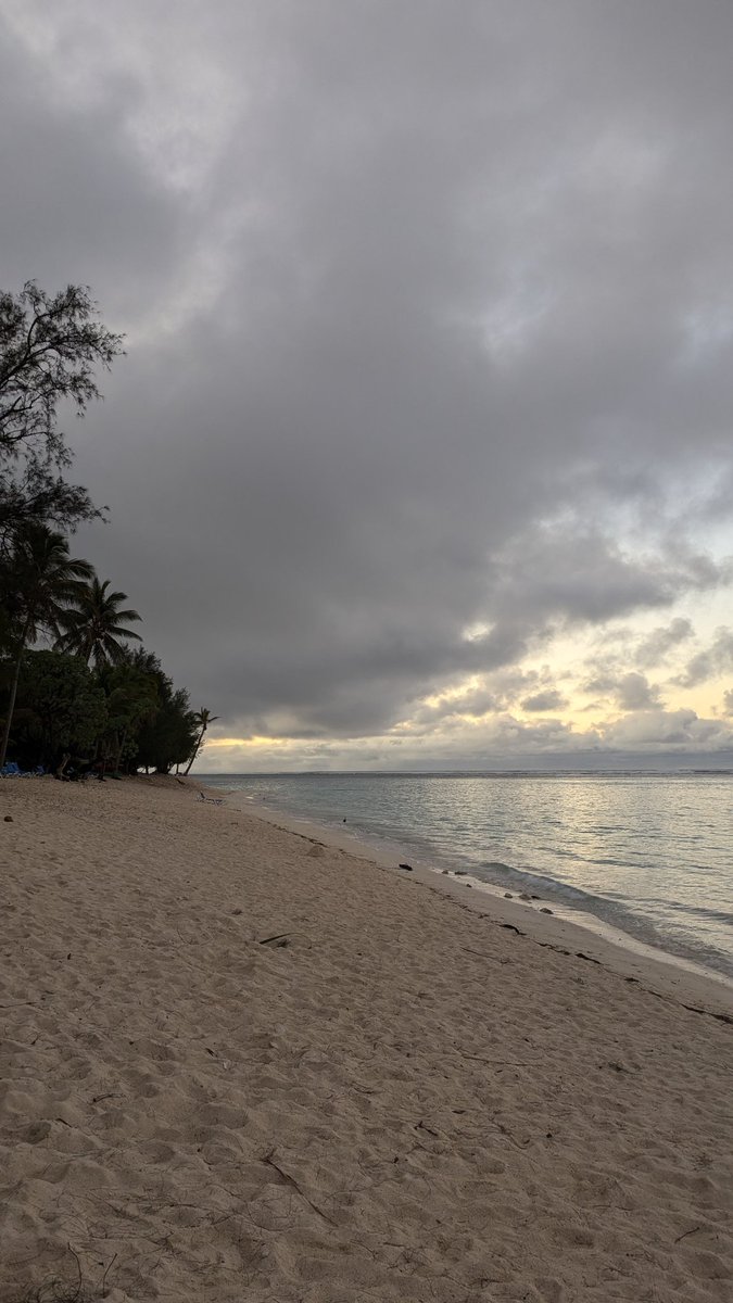 caneonsol tweet media