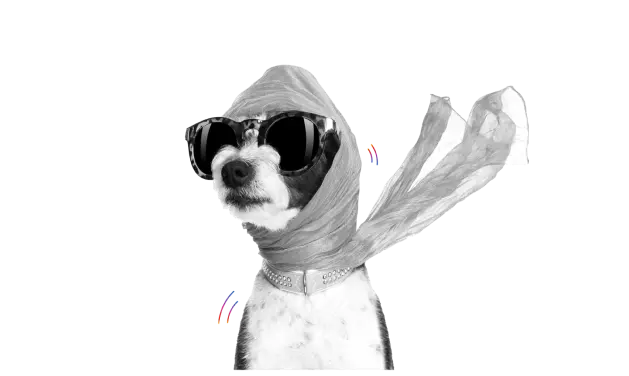 MyInvestor tweet media