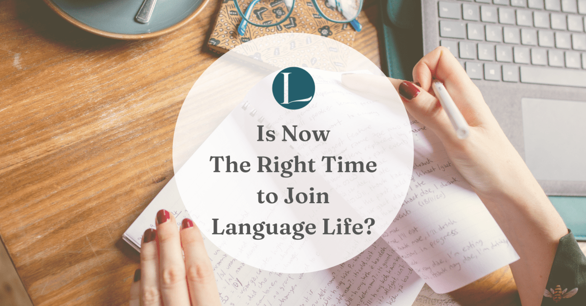 Lingotastic tweet media