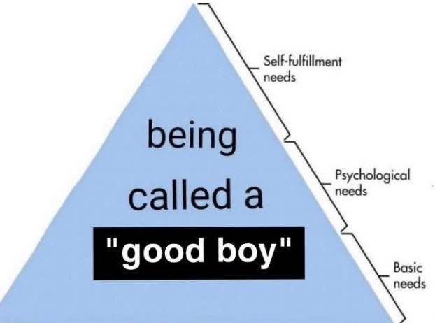 SynAnarchy's tweet photo. My two favourite words... :3 https://t.co/CJZsxI5A8o