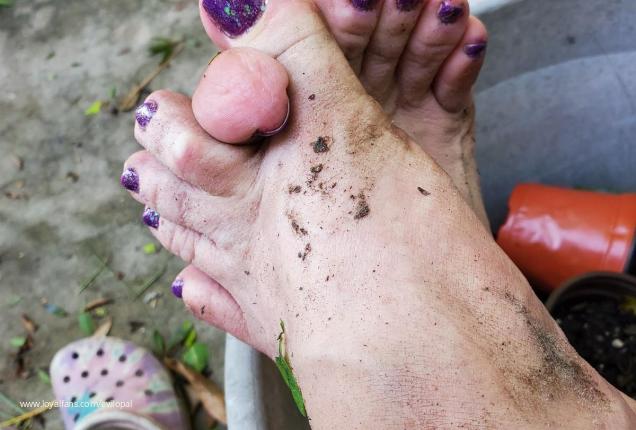 Where are my #dirtyfeet lovers today? 👣👅💦 https://t.co/DMkKlzdRoI #realloyalfans https://t.co/7aYUsW<a href="/tag/dirtyfeet"class="tags">#dirtyfeet</a><a href="/tag/realloyalfans"class="tags"><span>#realloyalfans</span></a>
