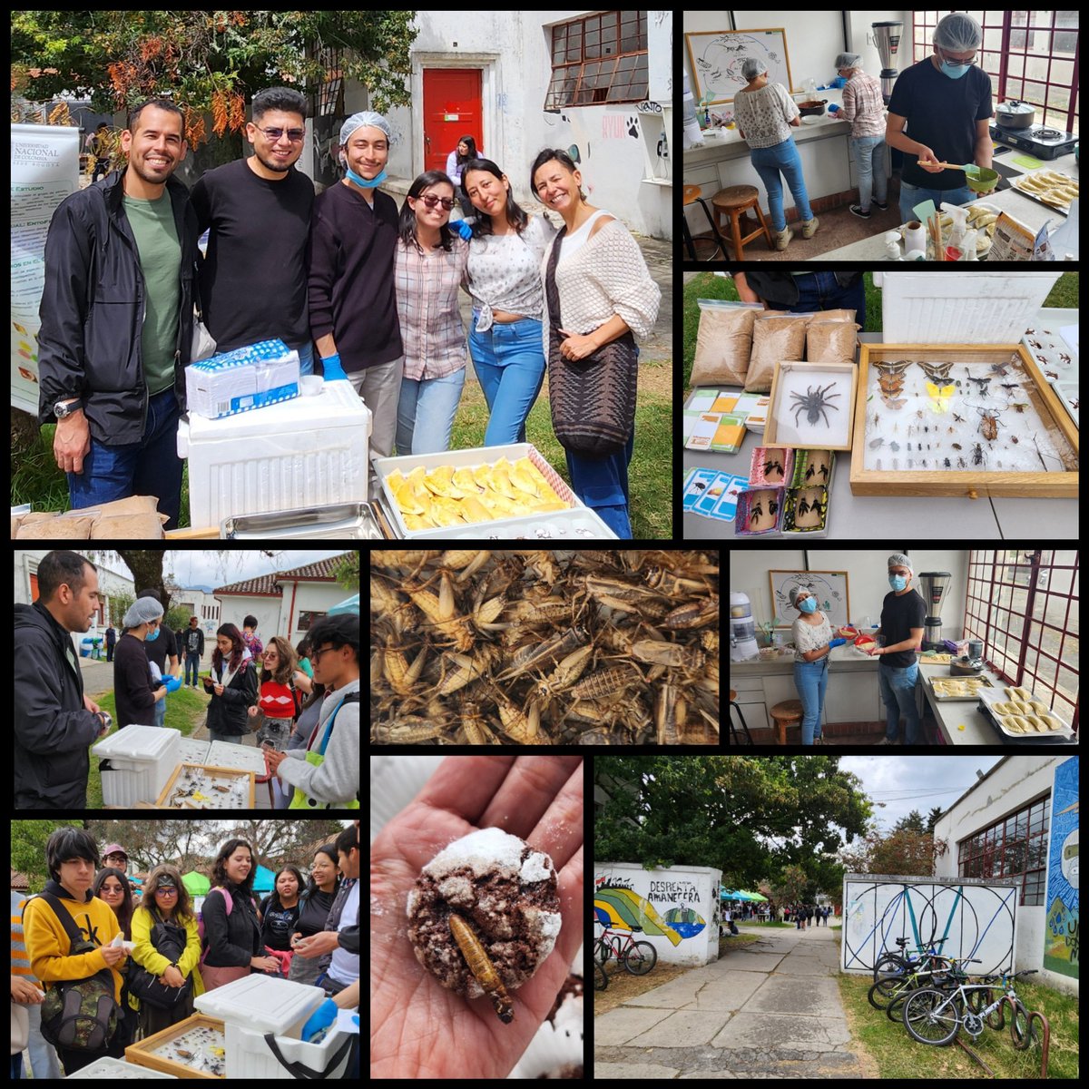 Centro de Investigación de Artrópodos Terrestres - CINAT y la ciencia amorosa que nos mueve #circulareconomy #bioeconomy #edibleinsects #insectsnacks