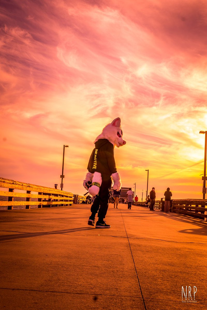 Waiting for the end to come

Wishing I had strength to stand

This is not what I had planned