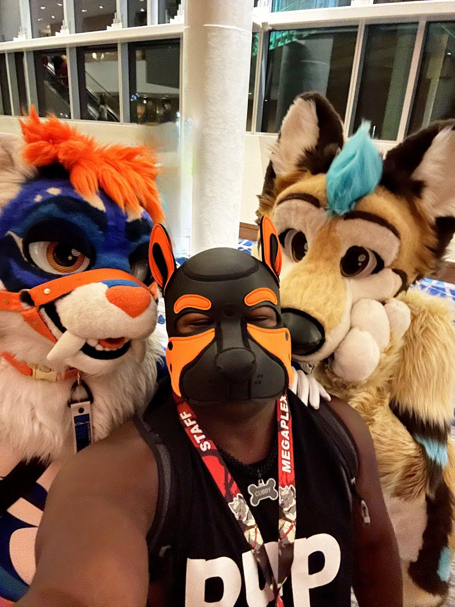 thisiscubby's tweet image. elevetor friends!
@skeelshusky @Takio_Saber

 #megaplex24 #gear #pup #sportypup #orlandopup #lgbt #leash #jockstrap #bearcub  #gay #gaypup #fetish #kink  #puphood #furry #gaypuppy #gogoboy #gogopup #musclepup #gaynsfw #floridapup  #pupplay #gaymer   #gaycub #gaymuscle #nerdypup