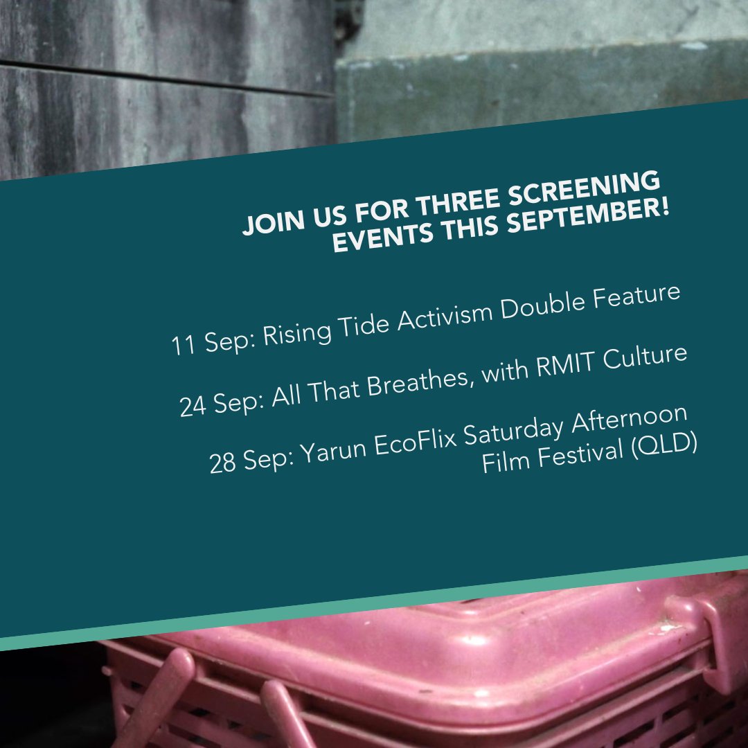 EFFA_AUS's tweet photo. Celebrate National Biodiversity Month and Sustainable September with three ace events this month! We'll be in Naarm/Melbourne and Yarun/Bribie Island! https://t.co/PLMbOpb3sp