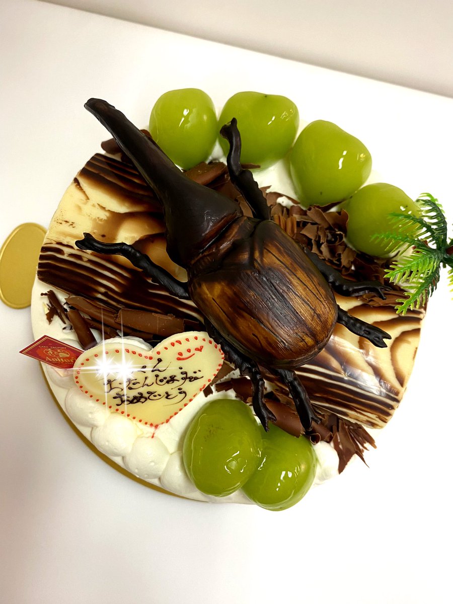 shigedenka's tweet photo. 久しぶりにヘラクレスオオカブトのチョコレート材質

まだ作れる自分がいます
再認識しましたよ https://t.co/g9h1z8uJpC