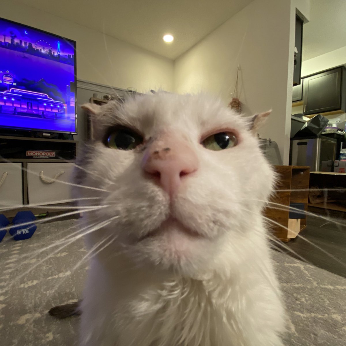 I showed u my crust pls respond