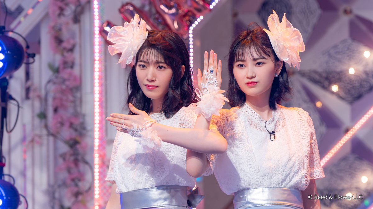 🌸#そこ曲がったら櫻坂？🌸 🤏#ちょこさく🌸 【ツッチー52歳ハピバ
