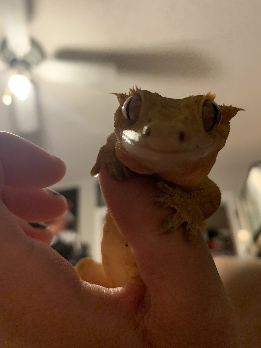 say hello to bo round