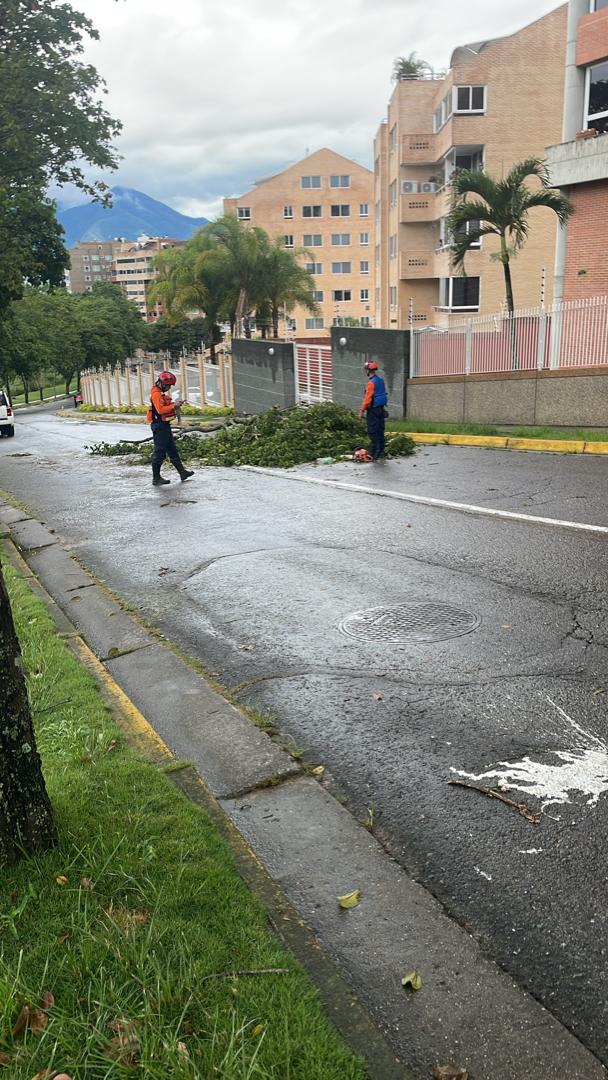 Urb. Lomas del Sol (no oficial). tweet media