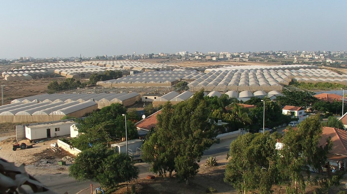 <a href="/BriannaWu/">Brianna Wu</a> All Jihadi supporters in Gaza need to GTFO or be killed. 

There will only be peace in Gaza when the Jewish people move back in, build and flourish as we do, alongside Arabs who are actually peace-seeking.  

A Judenrein Gaza will always produce terror.