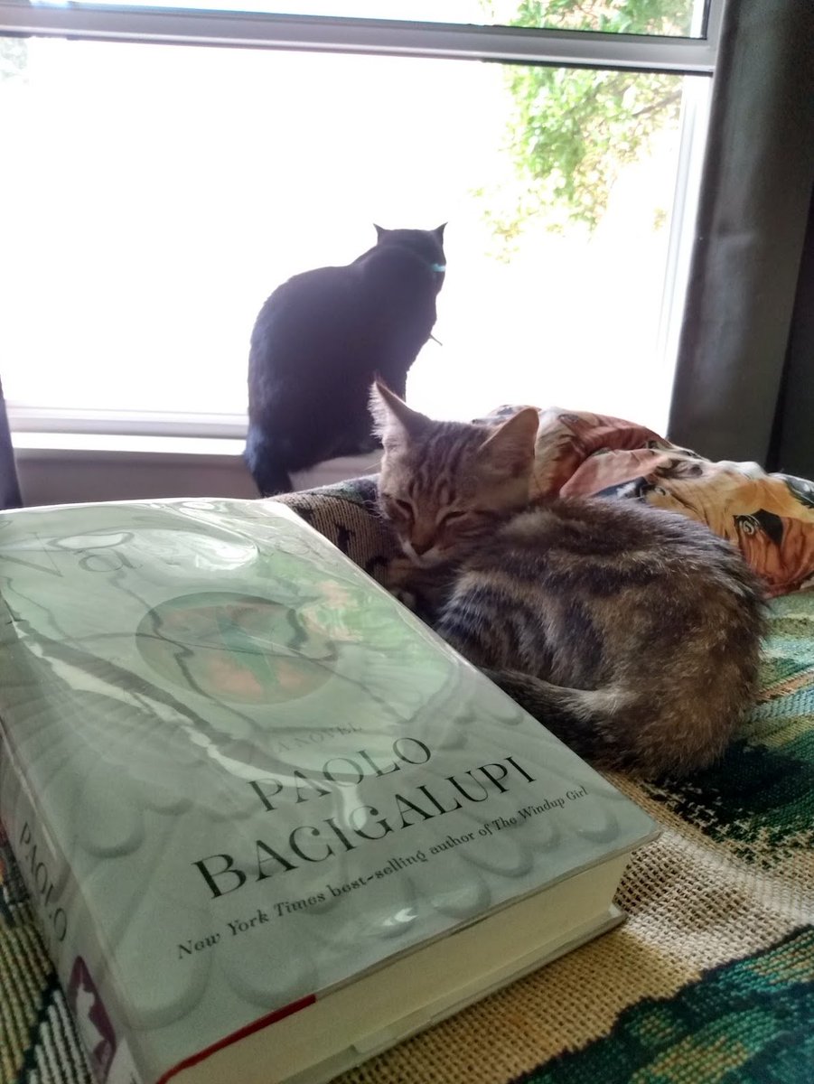 Jennifer Pullen (@jpullen19) on Twitter photo Dr. Pullen, Dr. Susuwatari & their tiny TA Fidel recommend Navola by <a href="/paolobacigalupi/">Paolo Bacigalupi not here much tho.</a>. Both academic felines & Dr. Pullen were utterly floored by the way the intricate worldbuilding & the narrator's voice created a seamlessly immersive story. #purrfectreads #amreading Dr. Pullen, Dr. Susuwatari & their tiny TA Fidel recommend Navola by <a href="/paolobacigalupi/">Paolo Bacigalupi not here much tho.</a>. Both academic felines & Dr. Pullen were utterly floored by the way the intricate worldbuilding & the narrator's voice created a seamlessly immersive story. #purrfectreads #amreading