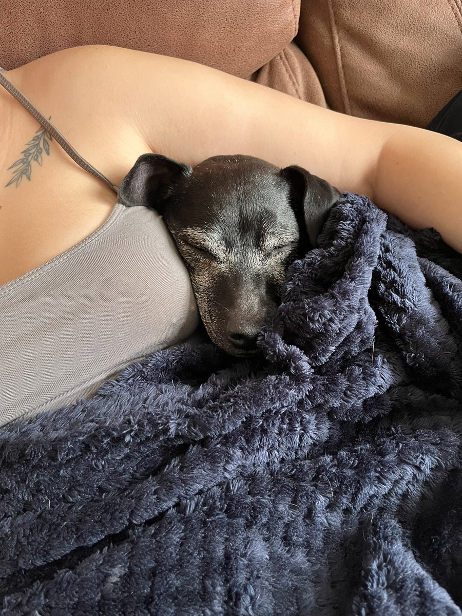 Samantha tweet media