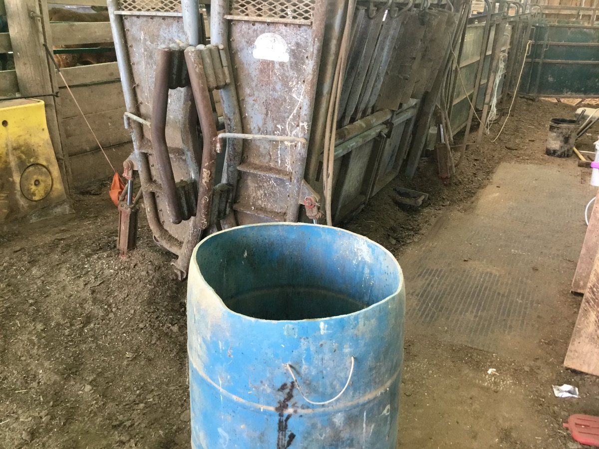 Double edge sword…..1. So satisfying to empty the processing shed “extremely over full garbage!” ….2. Hmmmm wonder how much the vet soaked me for all that product🤦🏻‍♂️