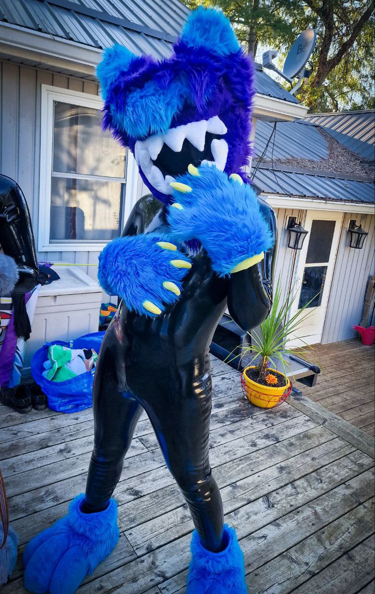 Ah shit it's a wild shiny pokemon encounter!

📸: <a href="/AceSkullDog/">Bsky: zangos.place</a>