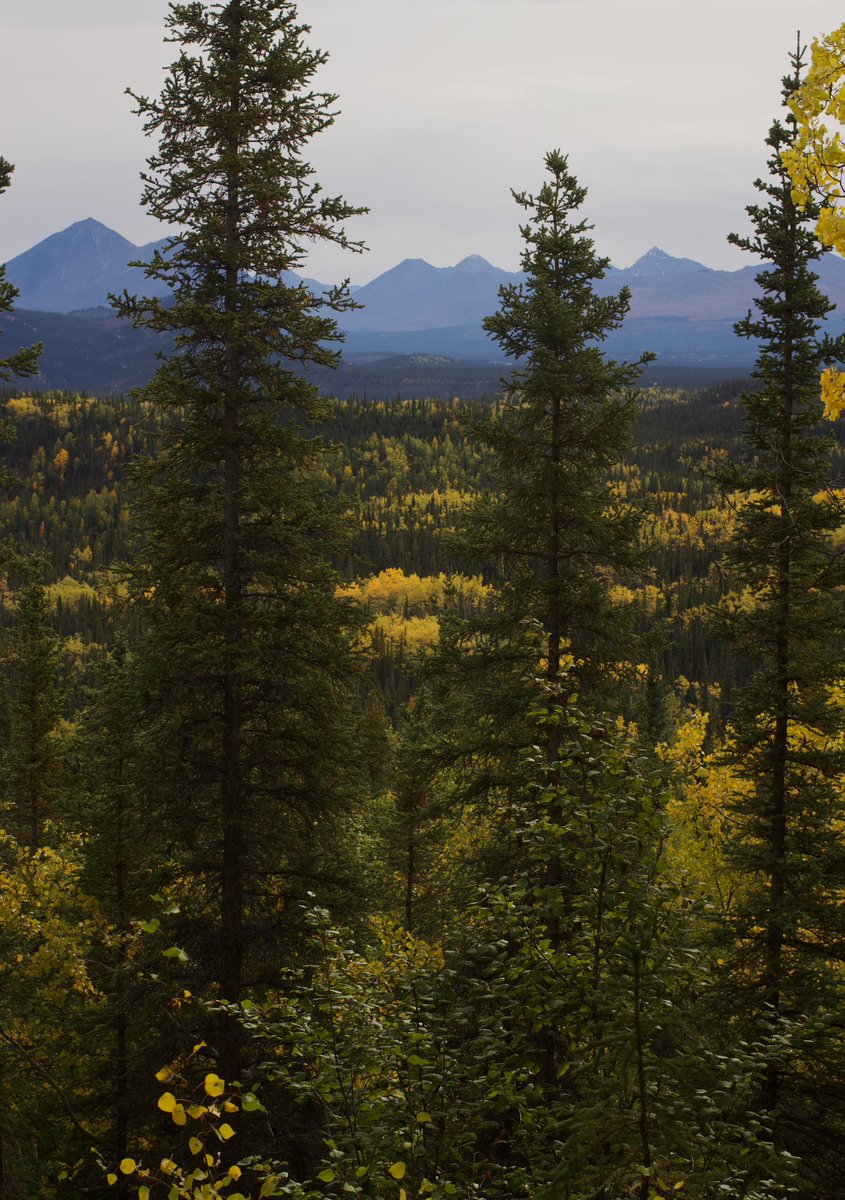 Isabella Colello tweet media