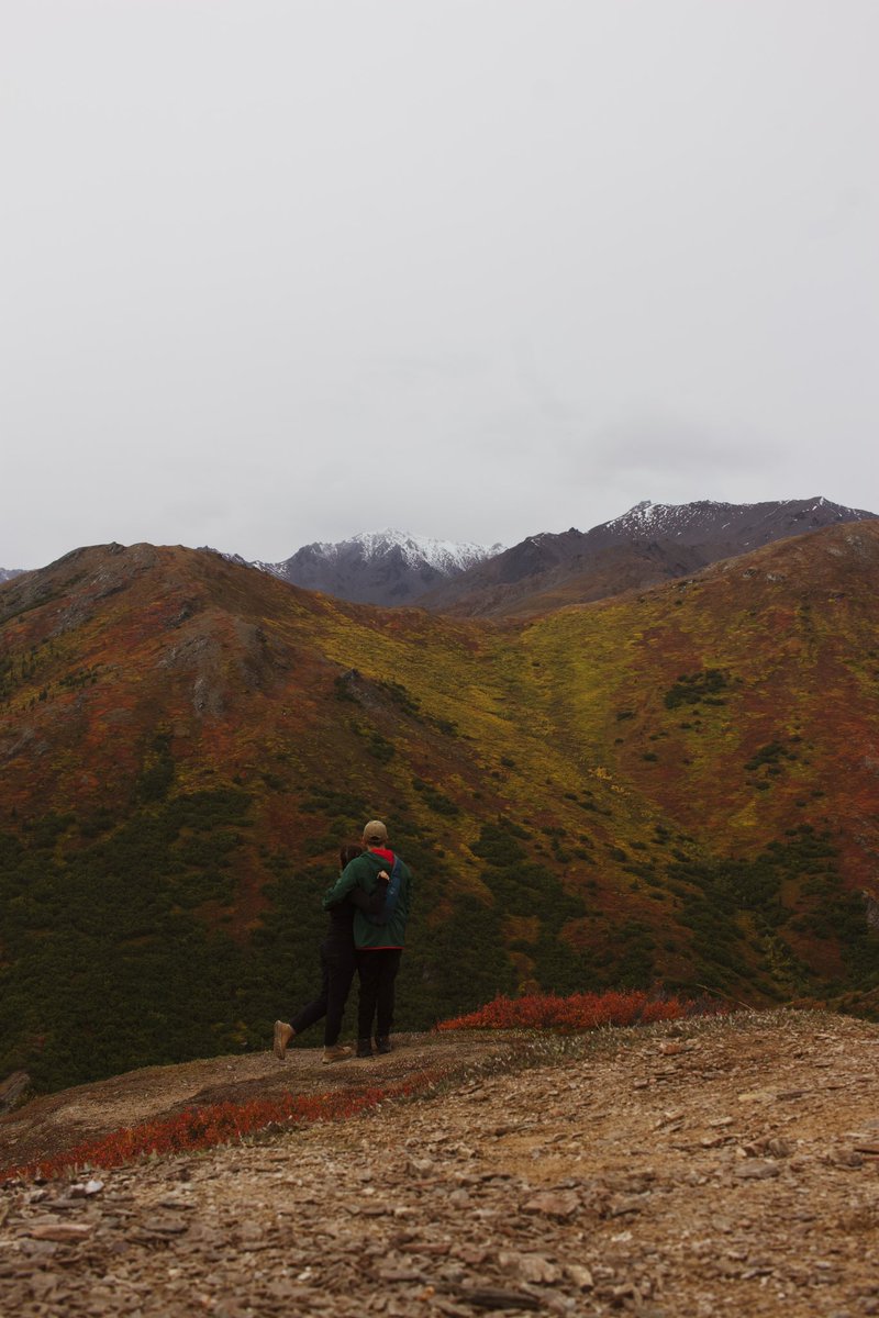 Isabella Colello tweet media