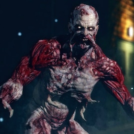 Wow Such Gaming on X: “Playing through Dying Light 2 again and