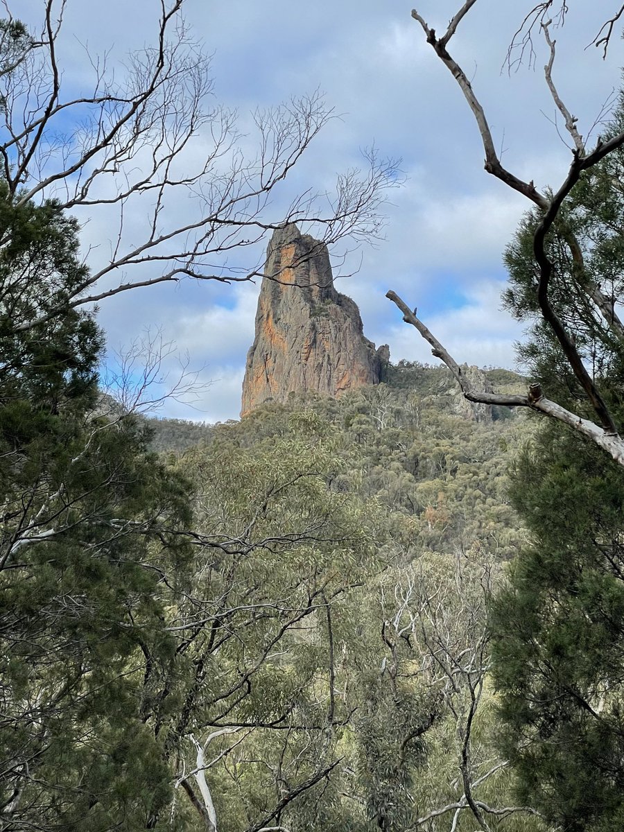 Belougery Spire, Grand High Tops Walk, #warrumbungles national park. Just one of many volcanic formations you’ll see one of Australia’s best day hikes