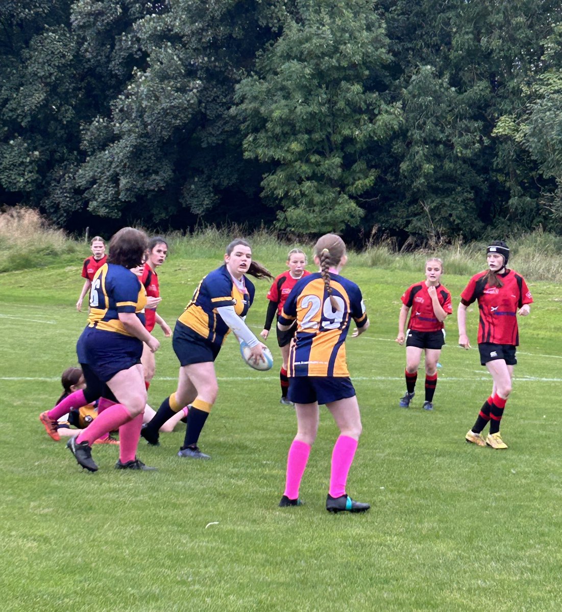 Miss Steele tweet media