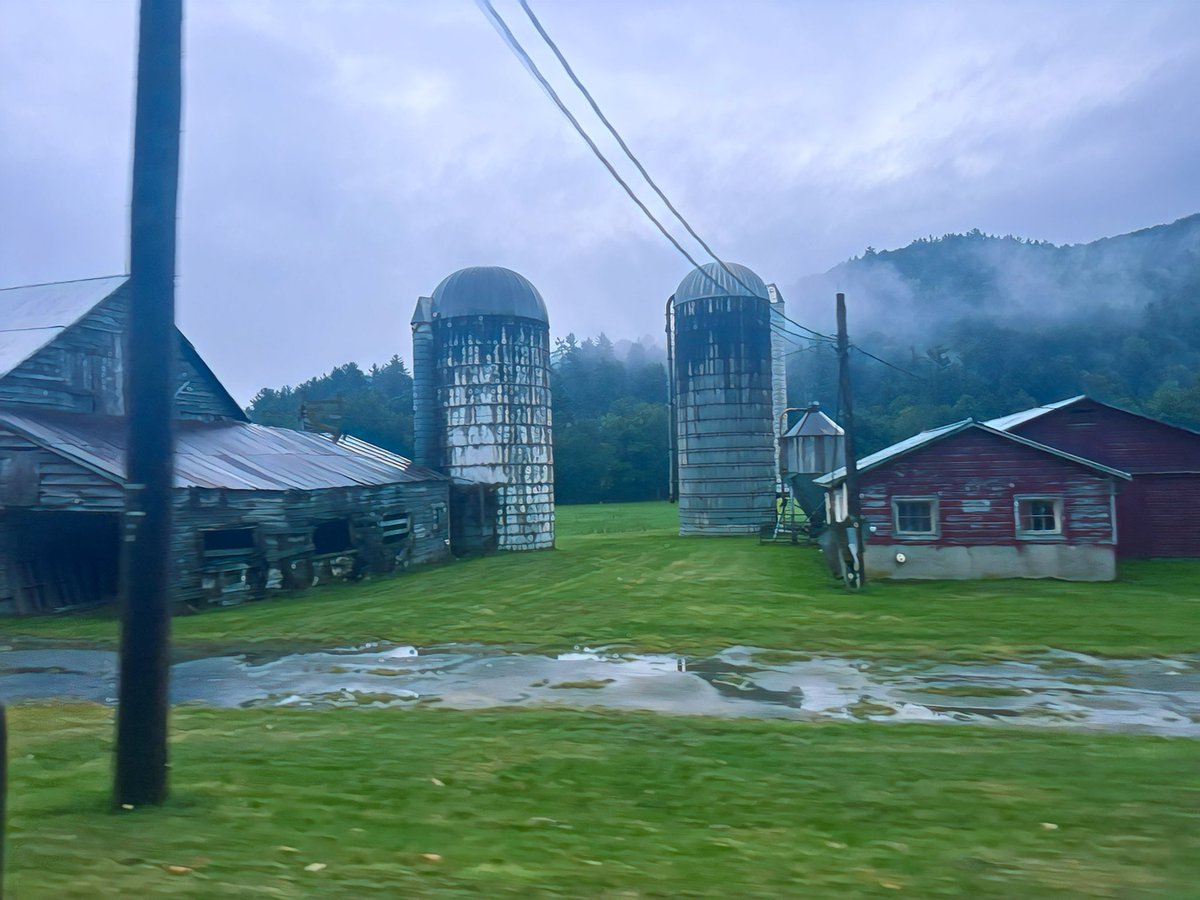 Dr. Stacy Williams🇯🇲🇺🇸🙌🏿🙏🏿 tweet media