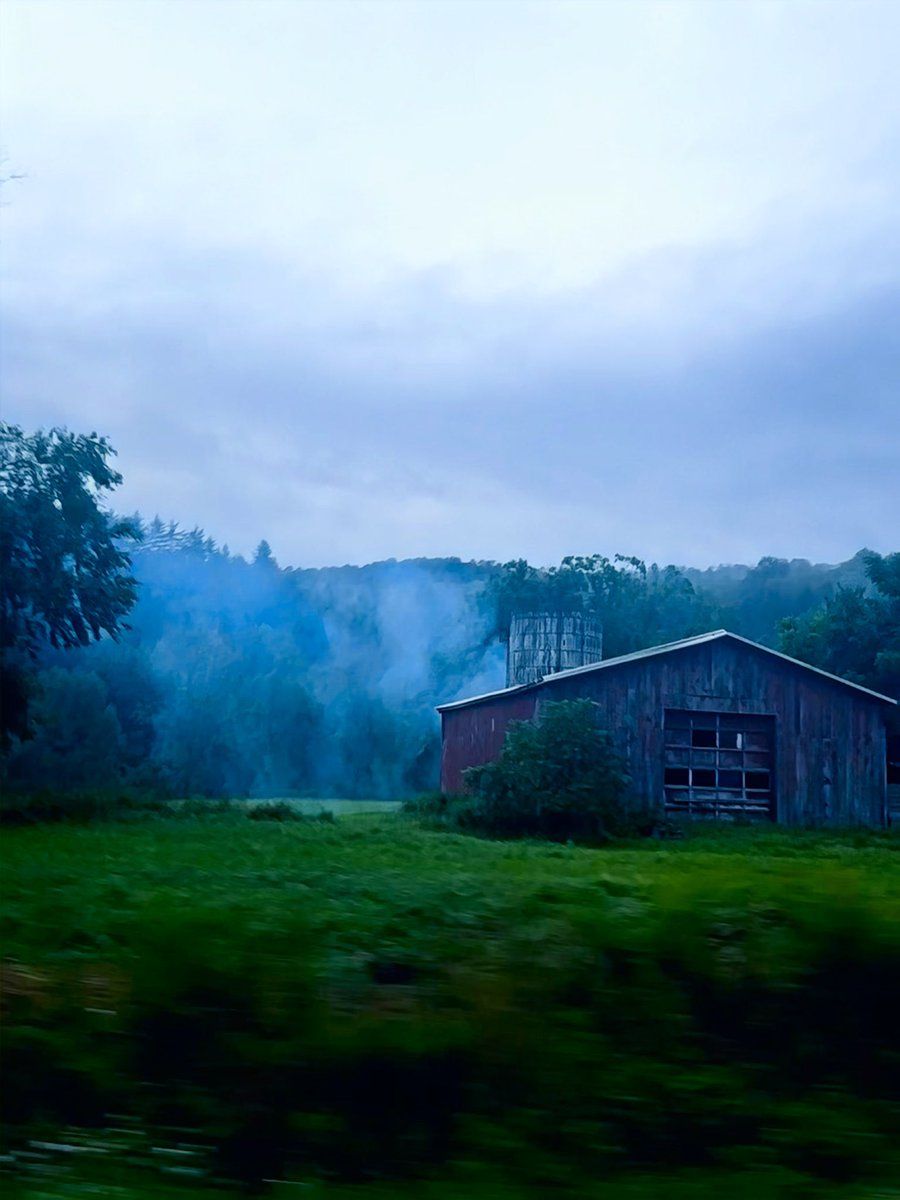 Commuting Pics #theEscape #radicalselfcare #naturetherapy