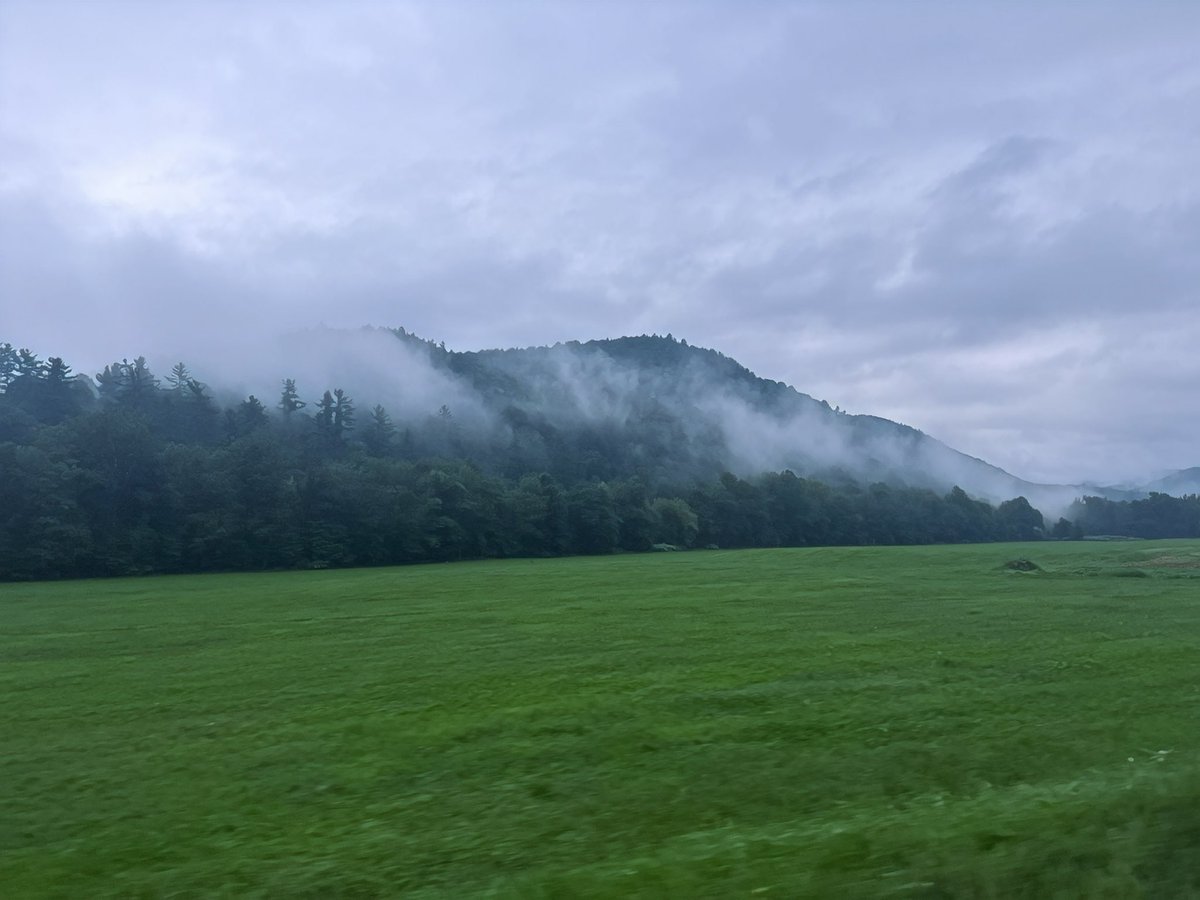 Dr. Stacy Williams🇯🇲🇺🇸🙌🏿🙏🏿 tweet media